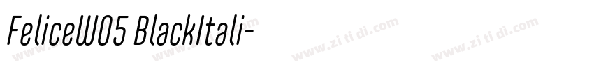 FeliceW05 BlackItali字体转换